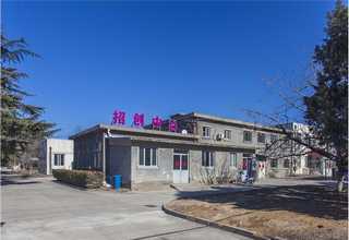四川日本高闪光耐高温珠光粉无机颜料承诺守信