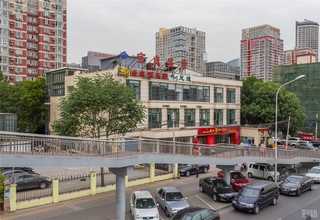 租赁盆栽花卉简阳市