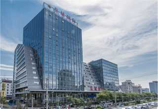 客厅植物出租方案