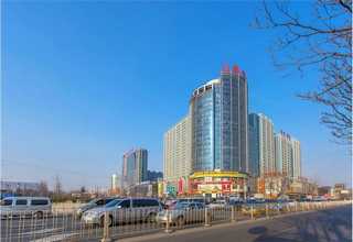 济南市有实力管理服务顾问有保证